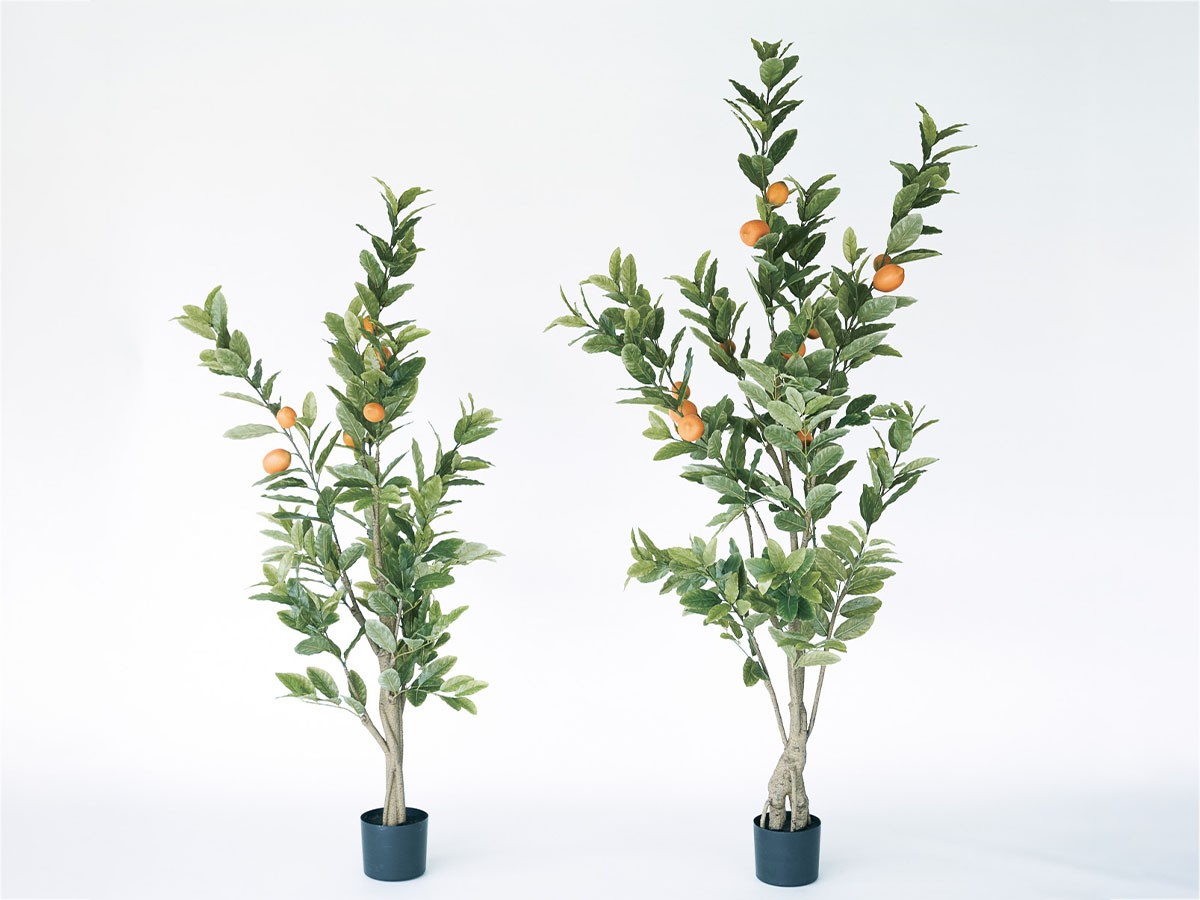 BROWN Lemon Tree Pot / ブラウン レモンの木 ポット 152 （花器・プランター・グリーン > フェイクグリーン・フェイクフラワー） 3