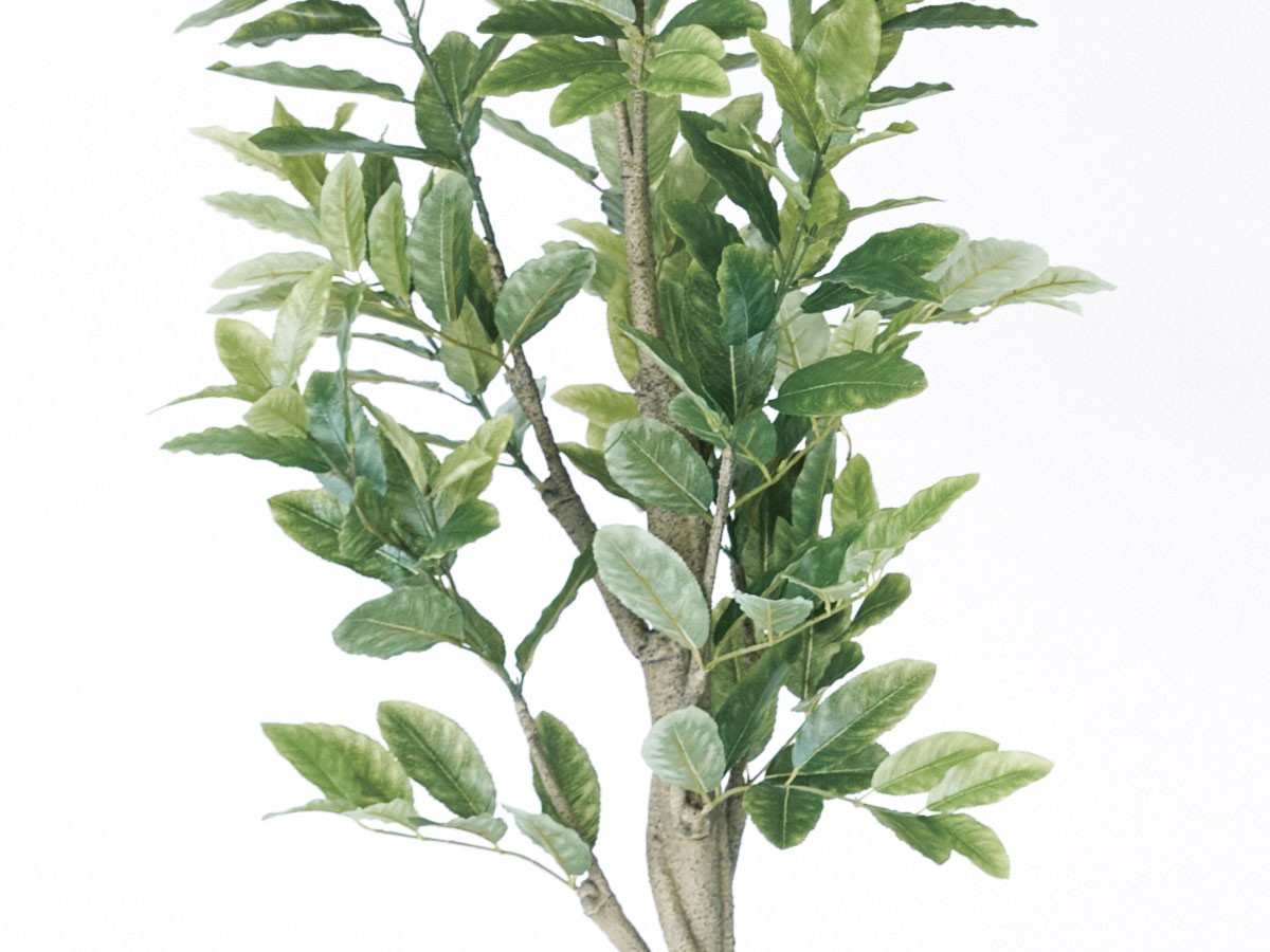BROWN Lemon Tree Pot / ブラウン レモンの木 ポット 152 （花器・プランター・グリーン > フェイクグリーン・フェイクフラワー） 5
