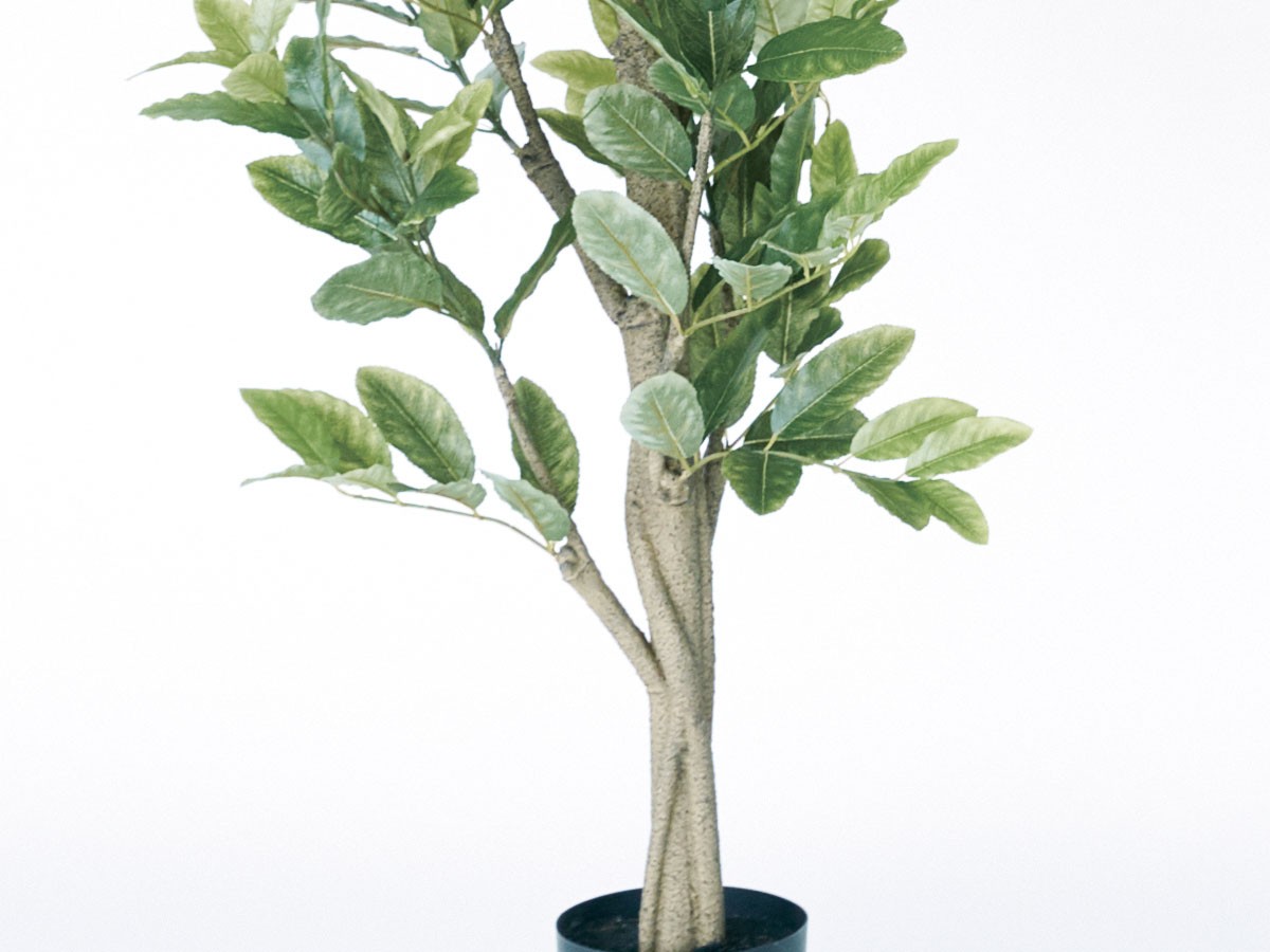 BROWN Lemon Tree Pot / ブラウン レモンの木 ポット 152 （花器・プランター・グリーン > フェイクグリーン・フェイクフラワー） 6