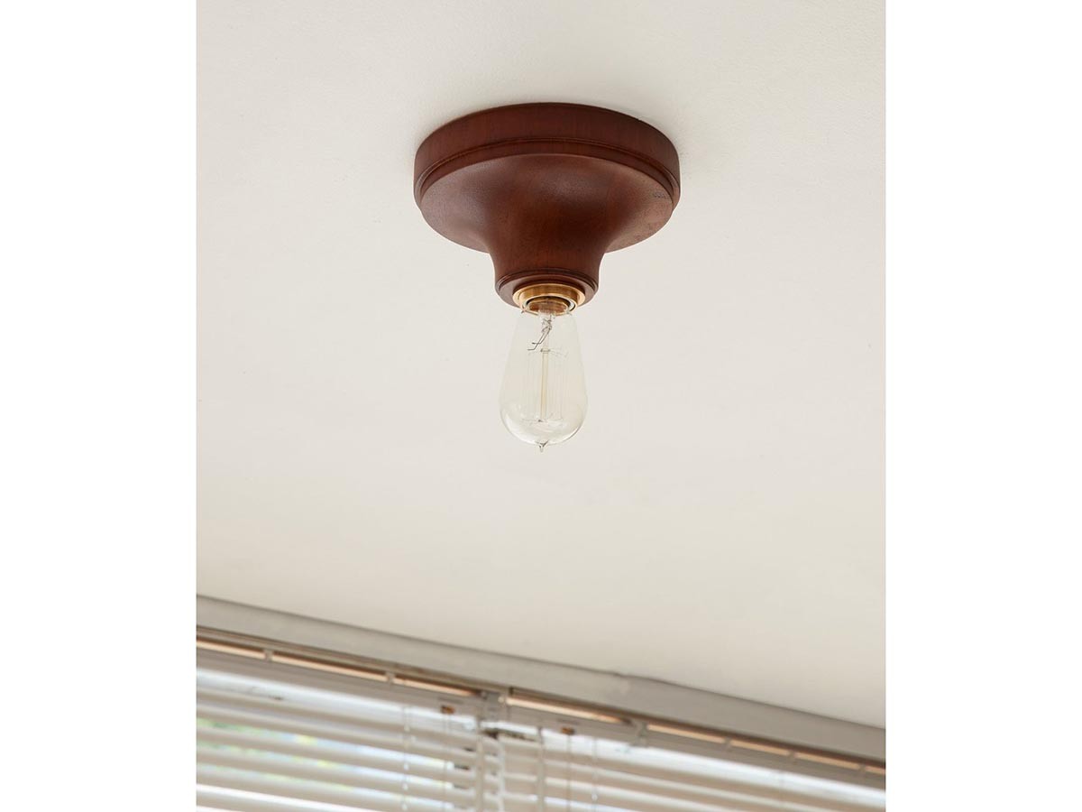 ACME Furniture IRVIN CEILING LAMP / アクメファニチャー アーヴィン シーリングランプ （ライト・照明 > シーリングライト） 3