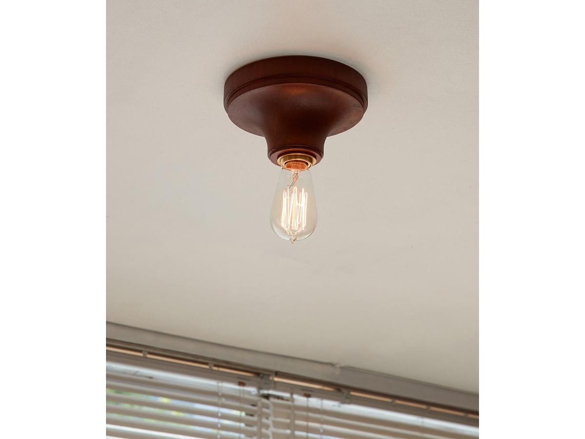 ACME Furniture IRVIN CEILING LAMP / アクメファニチャー アーヴィン シーリングランプ （ライト・照明 > シーリングライト） 4