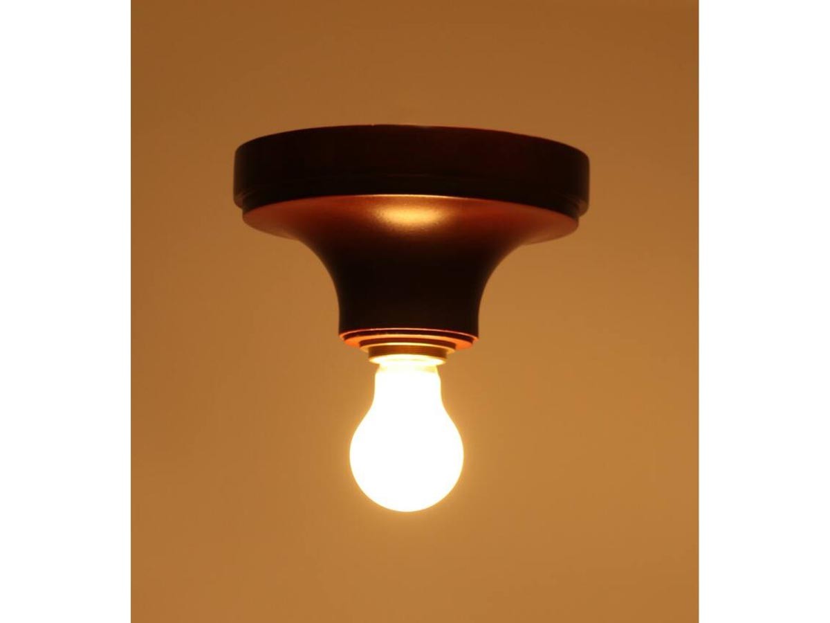 ACME Furniture IRVIN CEILING LAMP / アクメファニチャー アーヴィン シーリングランプ （ライト・照明 > シーリングライト） 14