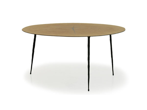 organic table / オーガニック テーブル （テーブル > ローテーブル・リビングテーブル・座卓） 2