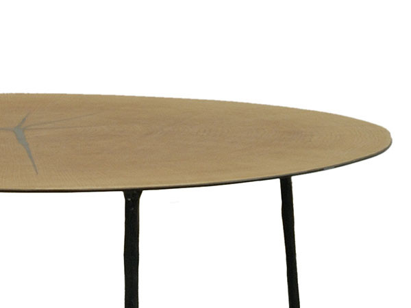 organic table / オーガニック テーブル （テーブル > ローテーブル・リビングテーブル・座卓） 4