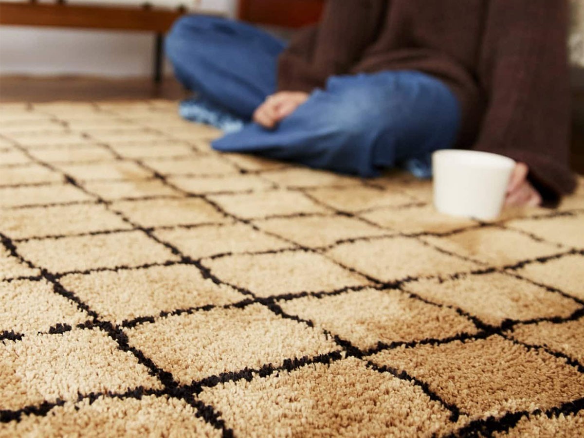 JOURNAL STANDARD FURNITURE GRID RUG / ジャーナルスタンダードファニチャー グリッド ラグ （ラグ・カーペット > ラグ・カーペット・絨毯） 9