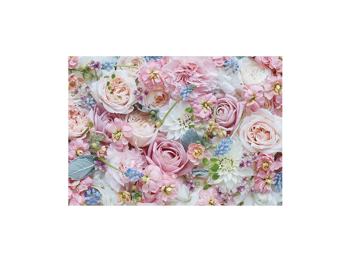 Pastel Bloom Rose Hermoney