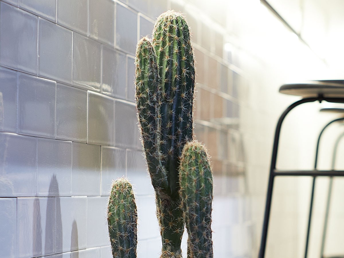 BROWN Column Cactus Pot / ブラウン 柱サボテン ポット 71 （花器・プランター・グリーン > フェイクグリーン・フェイクフラワー） 3