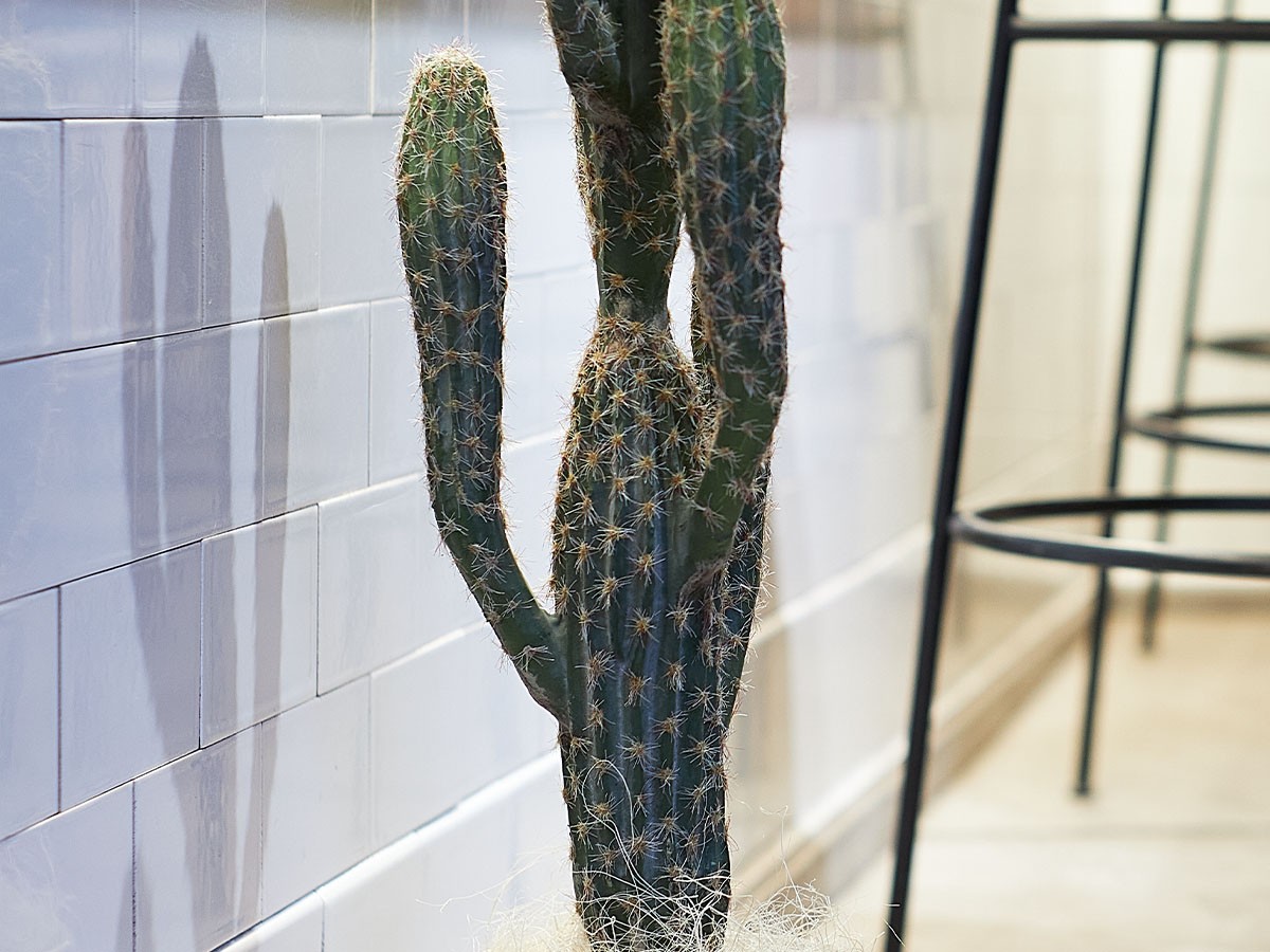 BROWN Column Cactus Pot / ブラウン 柱サボテン ポット 71 （花器・プランター・グリーン > フェイクグリーン・フェイクフラワー） 4