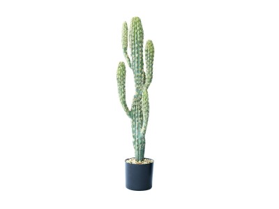 BROWN Column Cactus Pot / ブラウン 柱サボテン ポット 71