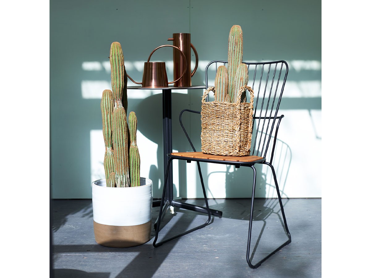 BROWN Column Cactus Pot / ブラウン 柱サボテン ポット 63 （花器・プランター・グリーン > フェイクグリーン・フェイクフラワー） 2