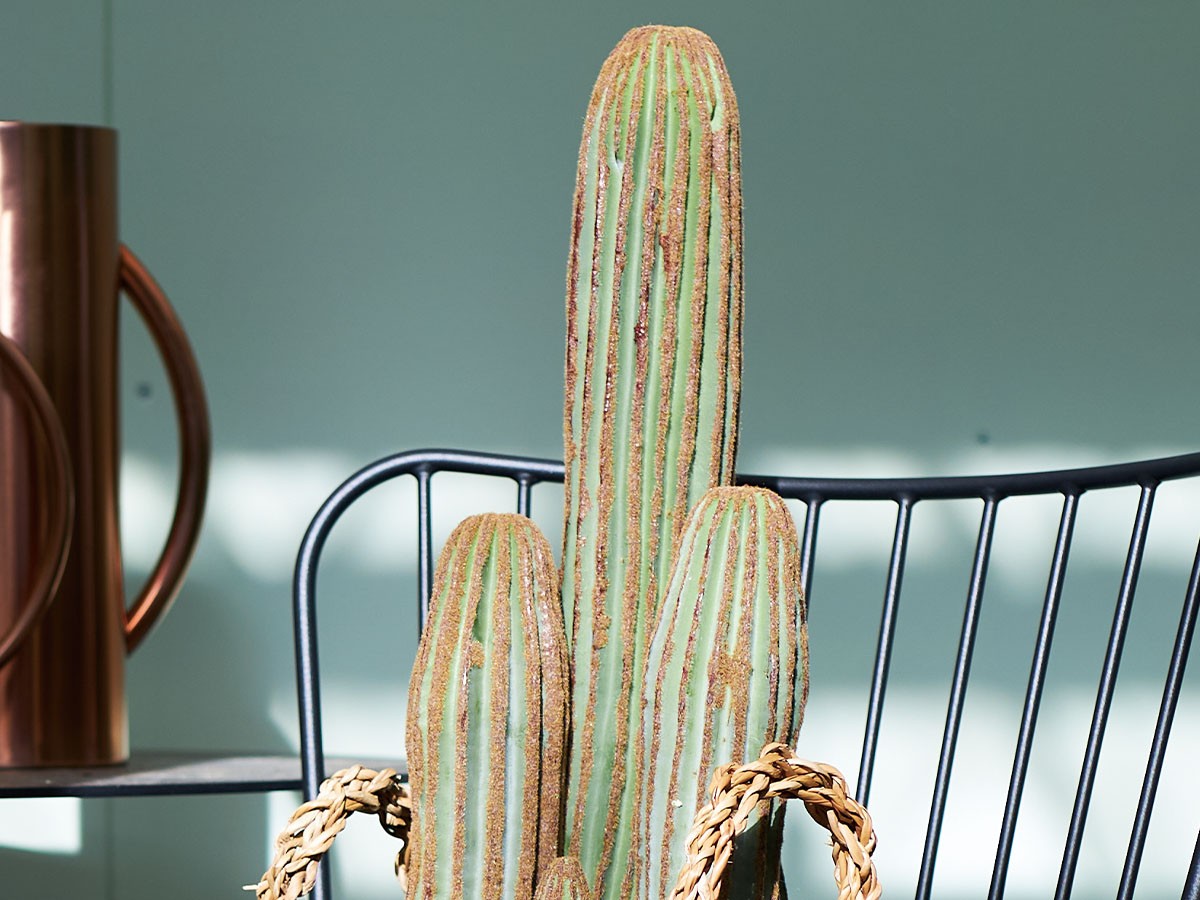 BROWN Column Cactus Pot / ブラウン 柱サボテン ポット 63 （花器・プランター・グリーン > フェイクグリーン・フェイクフラワー） 3