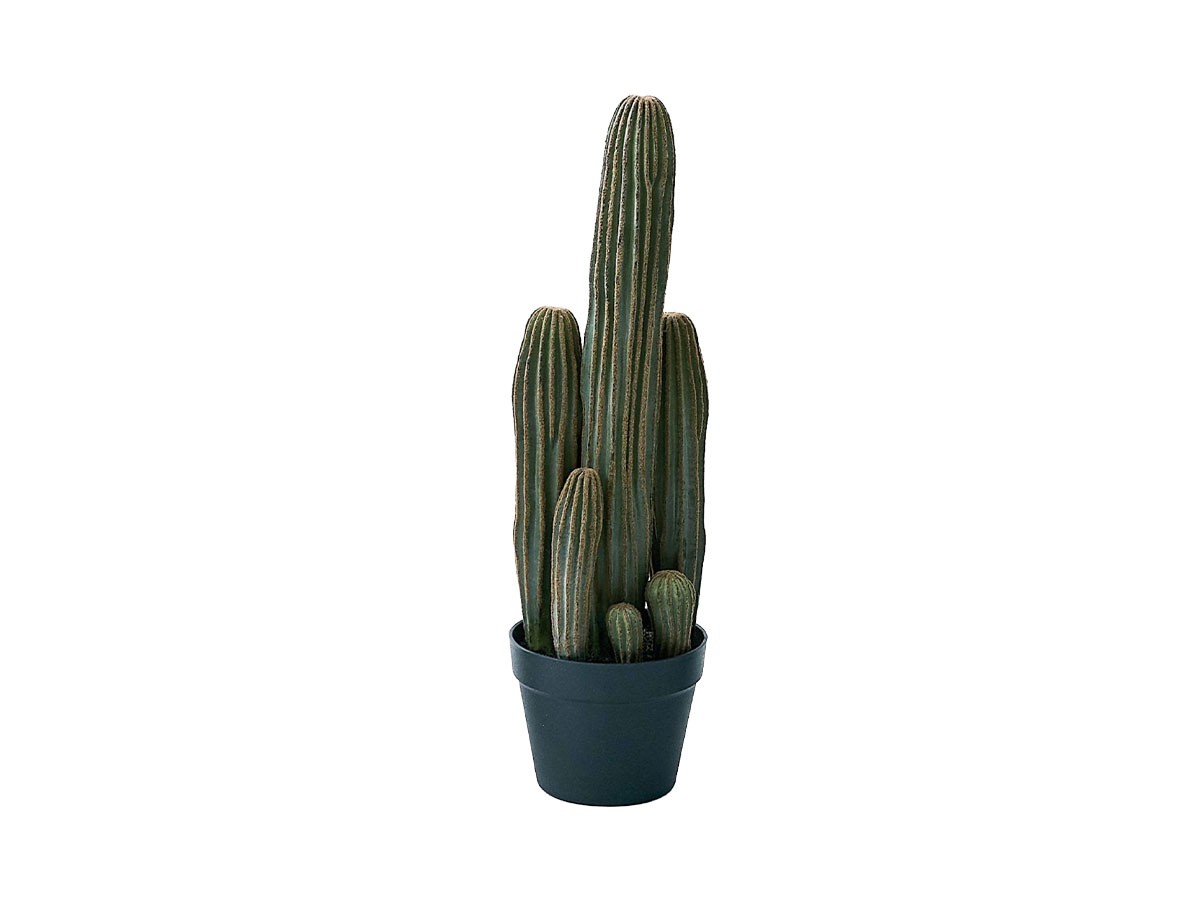 BROWN Column Cactus Pot