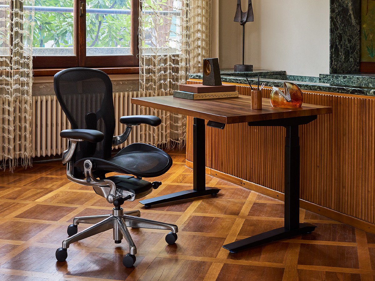 Herman Miller Aeron Chair Remastered / ハーマンミラー アーロンチェア リマスタード Bサイズ（ミディアムサイズ） （チェア・椅子 > オフィスチェア・デスクチェア） 5