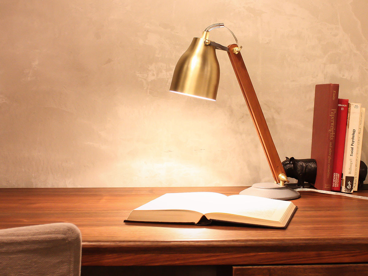 Desk Lamp / デスクランプ #1956 （ライト・照明 > デスクライト） 5