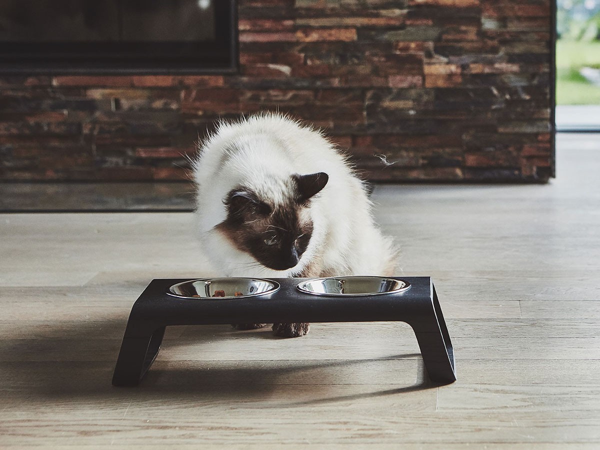 MiaCara Desco Cat Feeder / ミアカラ デスコ キャットフィーダー （雑貨・その他インテリア家具 > ペット用品・家具） 1