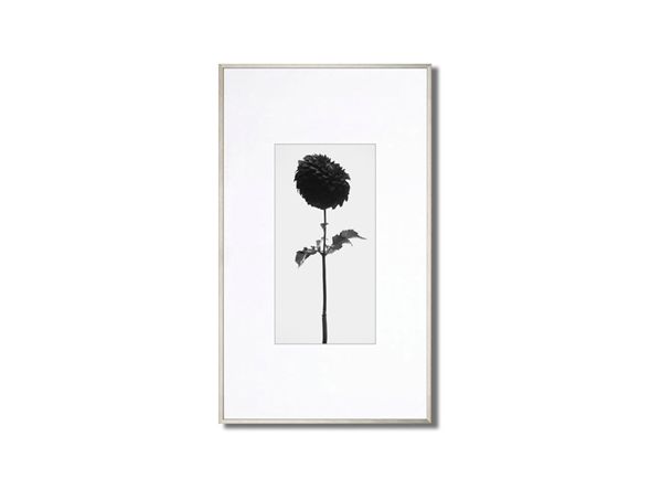 IGREBOW FLOWER / アイグレボゥ フラワー1 × 2［ f_612_18 ］ （オブジェ・アート > アート） 2