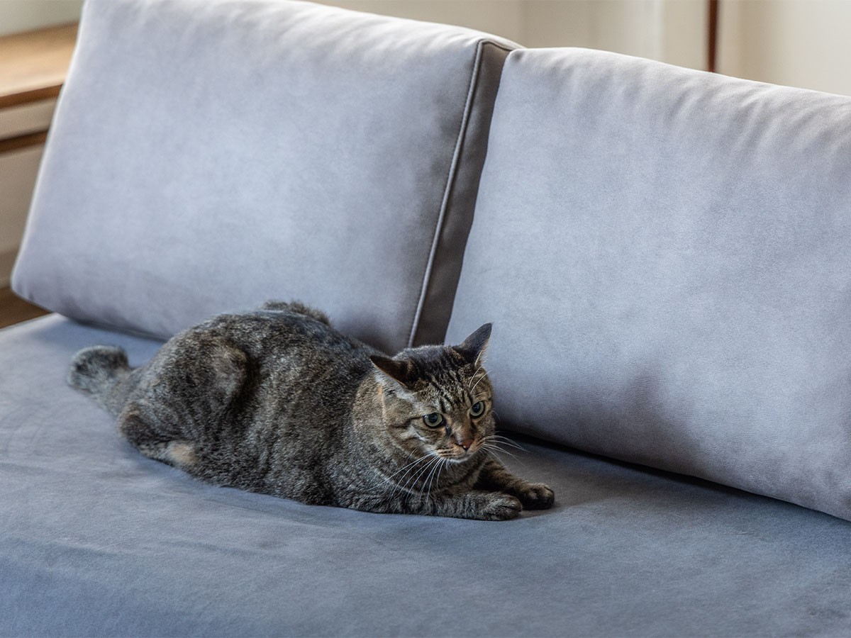 Easy Life HUSKY SOFA BED / イージーライフ ハスキー ソファベッド スエード調 （ソファ > 三人掛けソファ） 24