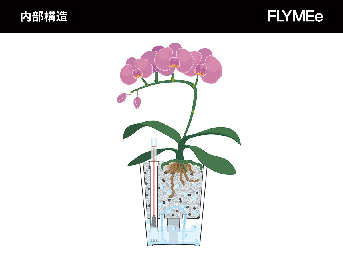 Lechuza Deltini / レチューザ デルティーニ 底面灌水セット付 （花器・プランター・グリーン > 鉢・プランターボックス） 15