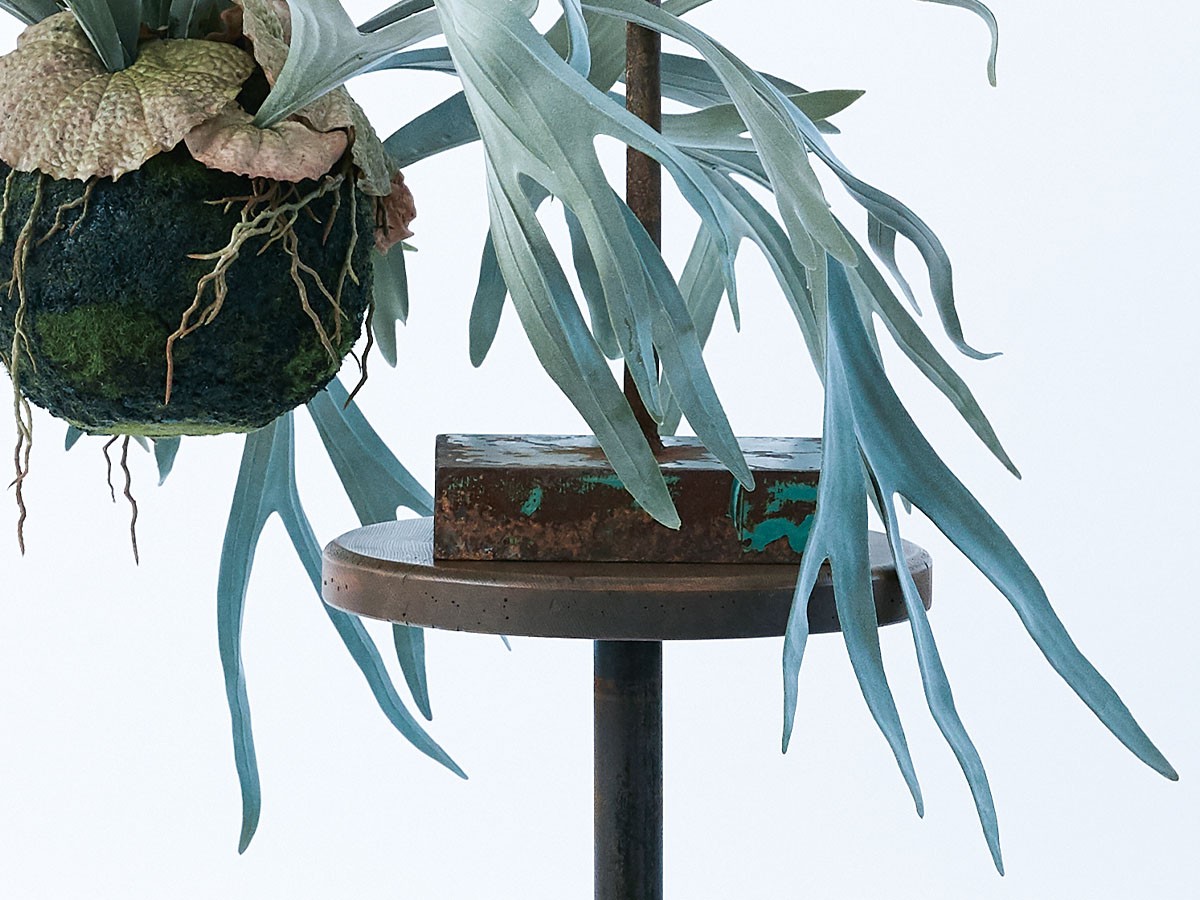 BROWN Staghorn Fern Hanging Ball / ブラウン ビカクシダ ハンギングボール 60 （花器・プランター・グリーン > フェイクグリーン・フェイクフラワー） 7