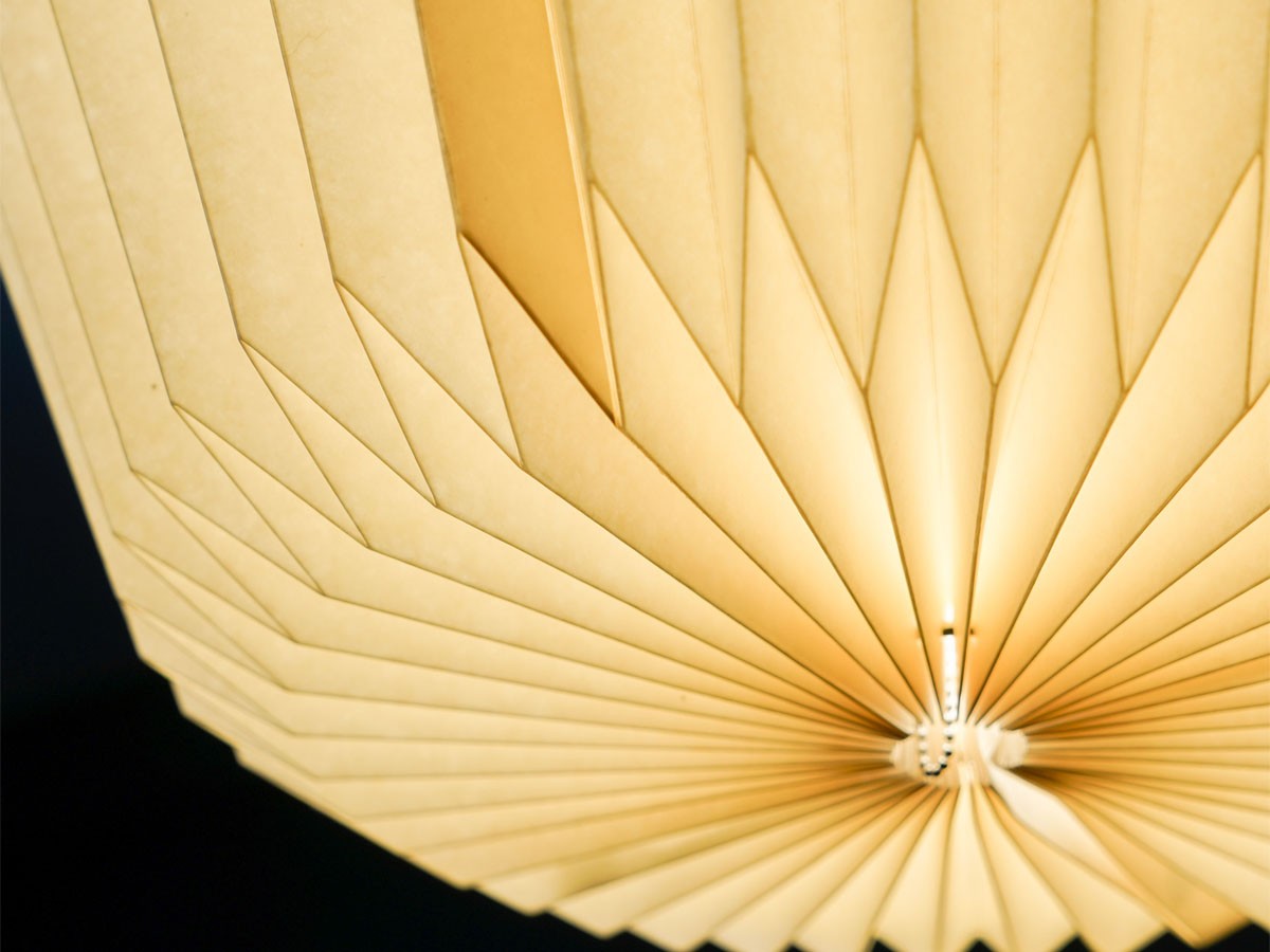 MANE Lamp Shade / モーネ ランプシェード 3灯 クラウド （ライト・照明 > ペンダントライト） 18