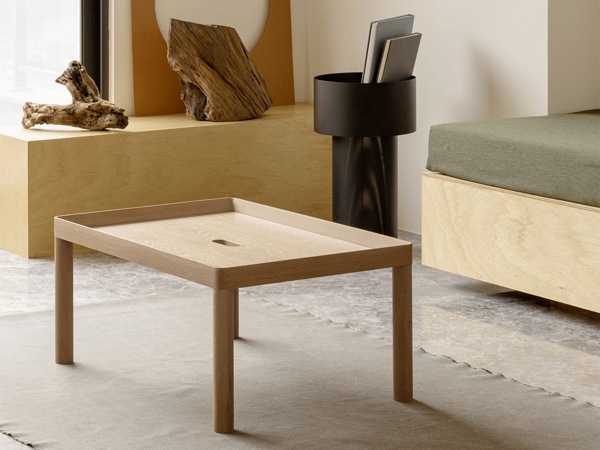 esaila Sister Coffee Table / エサイラ シスター コーヒーテーブル （テーブル > ローテーブル・リビングテーブル・座卓） 5