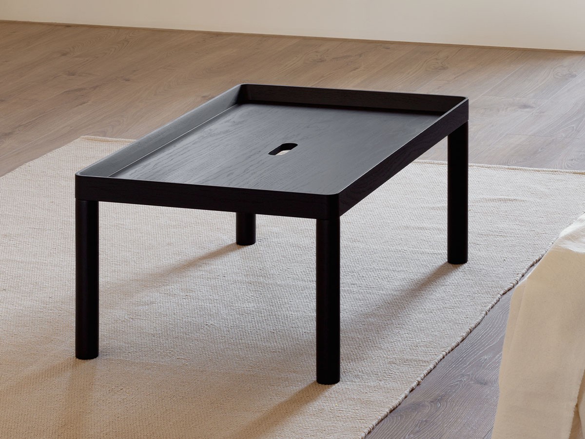 esaila Sister Coffee Table / エサイラ シスター コーヒーテーブル （テーブル > ローテーブル・リビングテーブル・座卓） 14