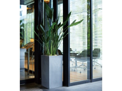 KONTON MAGNUS / コントン マグナス アーク - インテリア・家具通販