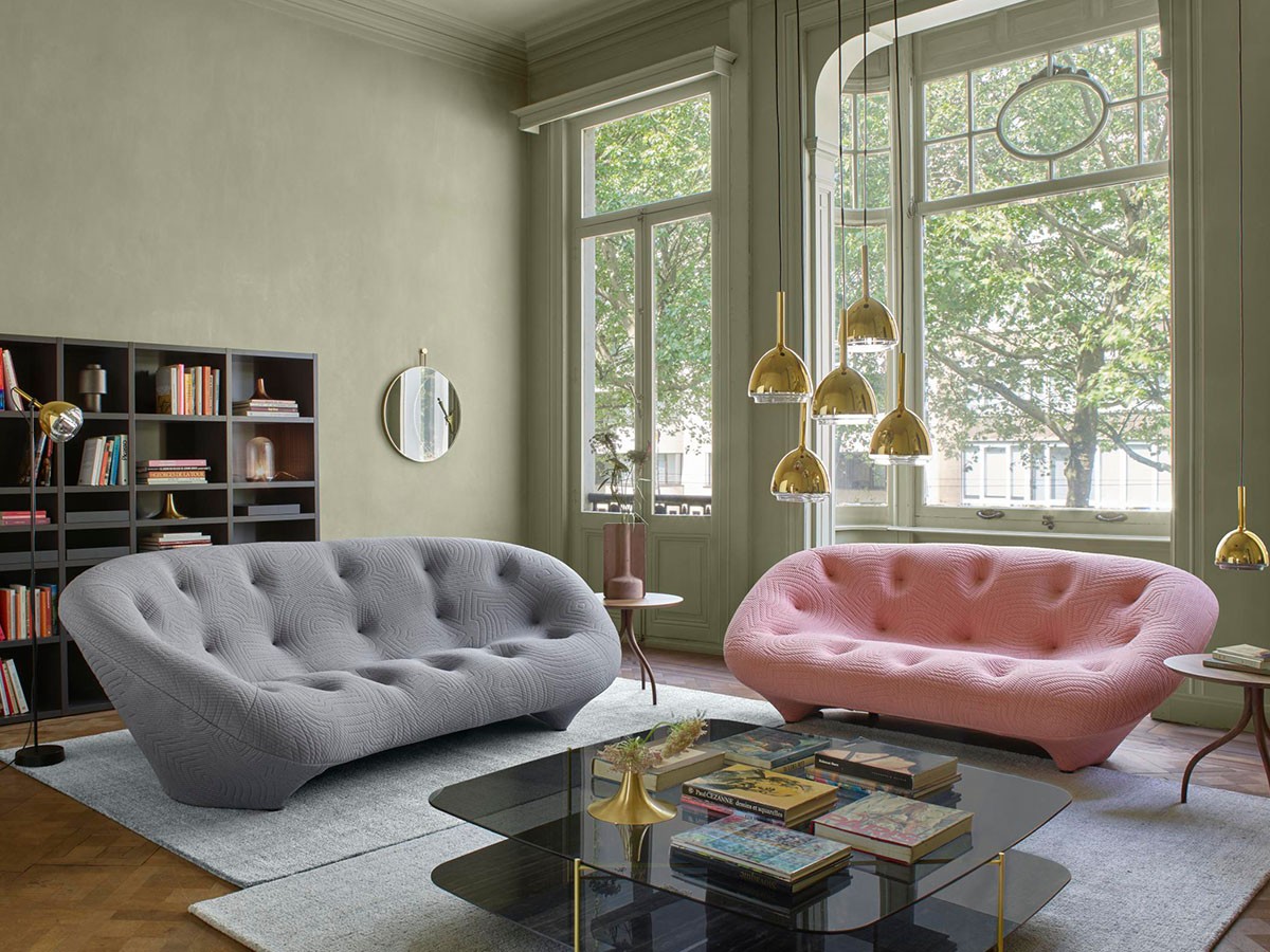 ligne roset ROSETPloum / リーン・ロゼ ロゼプルム 2P - インテリア 