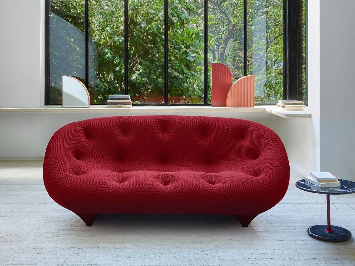 ligne roset ROSETPloum / リーン・ロゼ ロゼプルム 2P （ソファ > 二人掛けソファ） 2