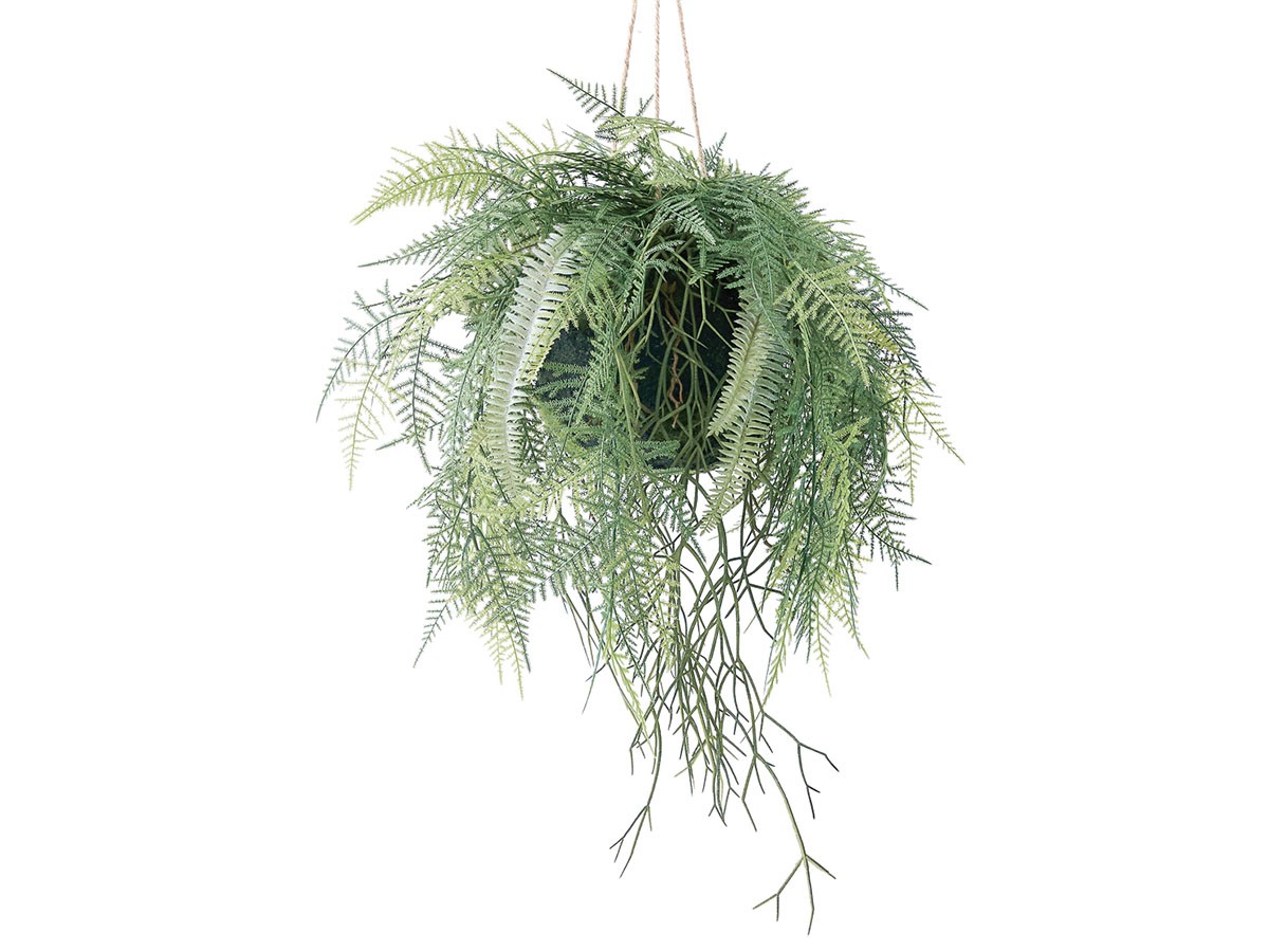 BROWN Fern Hanging Ball