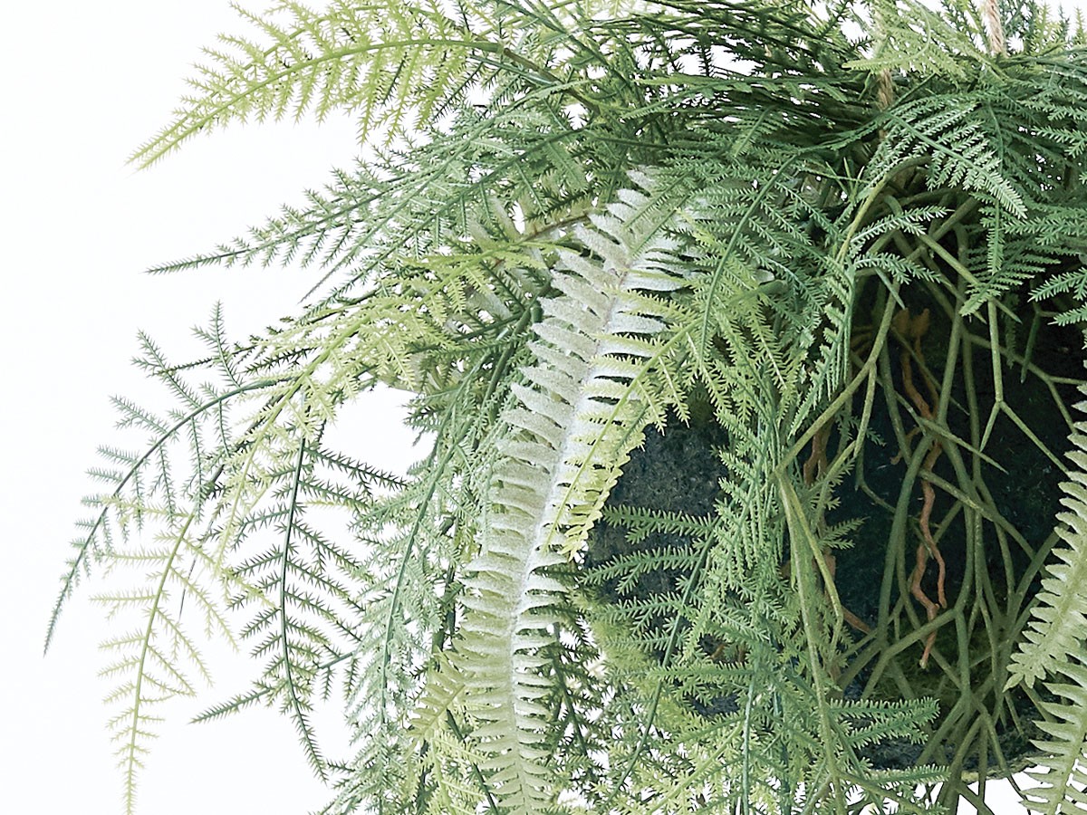 BROWN Fern Hanging Ball / ブラウン ファーン ハンギングボール 65 （花器・プランター・グリーン > フェイクグリーン・フェイクフラワー） 3