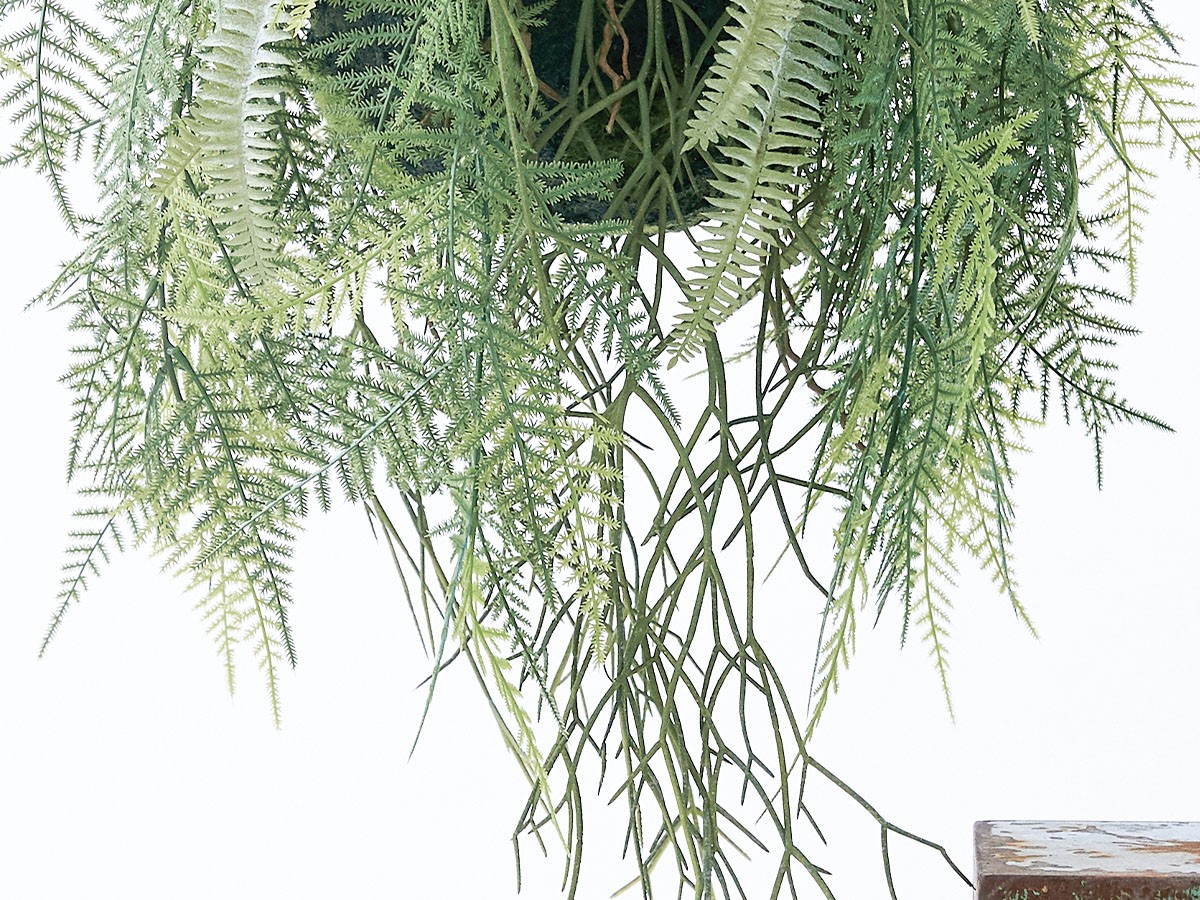 BROWN Fern Hanging Ball / ブラウン ファーン ハンギングボール 65 （花器・プランター・グリーン > フェイクグリーン・フェイクフラワー） 4