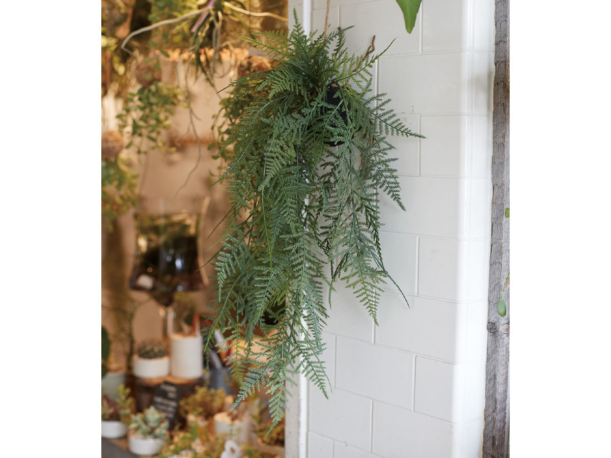 BROWN Fern Hanging Ball / ブラウン ファーン ハンギングボール 65 （花器・プランター・グリーン > フェイクグリーン・フェイクフラワー） 5
