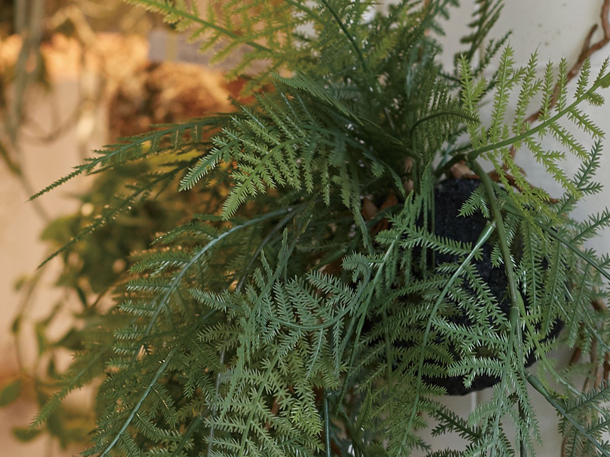 BROWN Fern Hanging Ball / ブラウン ファーン ハンギングボール 65 （花器・プランター・グリーン > フェイクグリーン・フェイクフラワー） 6
