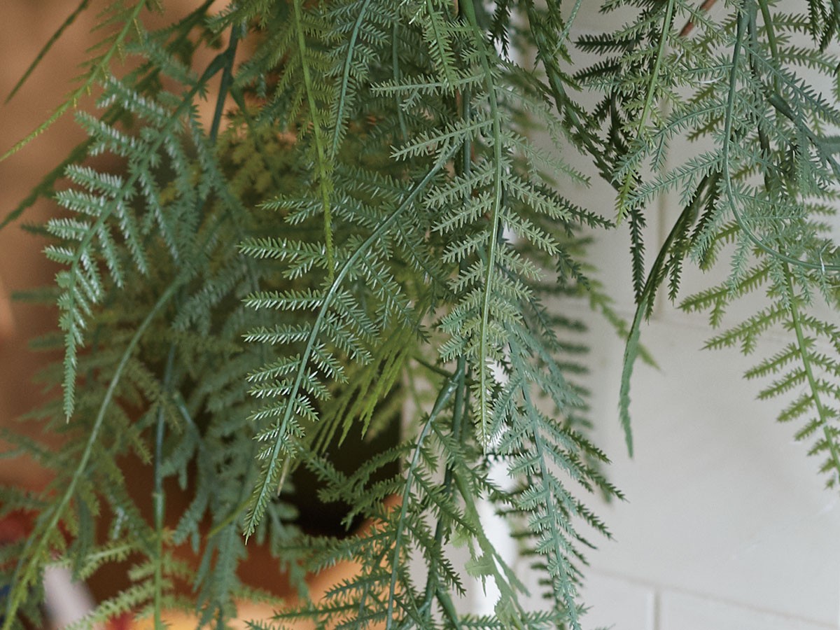 BROWN Fern Hanging Ball / ブラウン ファーン ハンギングボール 65 （花器・プランター・グリーン > フェイクグリーン・フェイクフラワー） 7