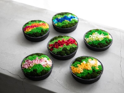 雨 花山 - Hanayama - / あめ 花山 プリザーブドフラワー 小の小