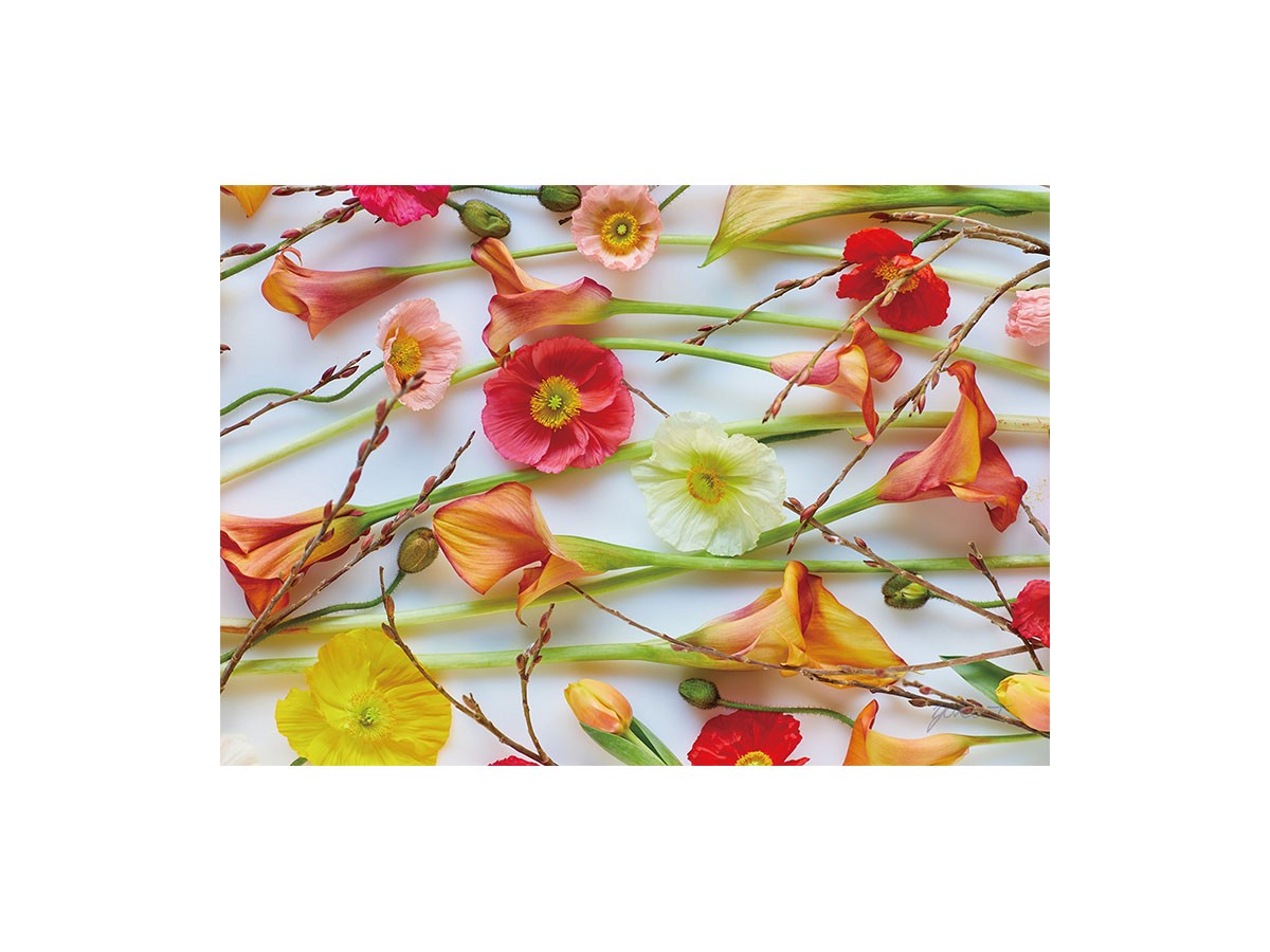 Pastel Bloom Poppy&Calla