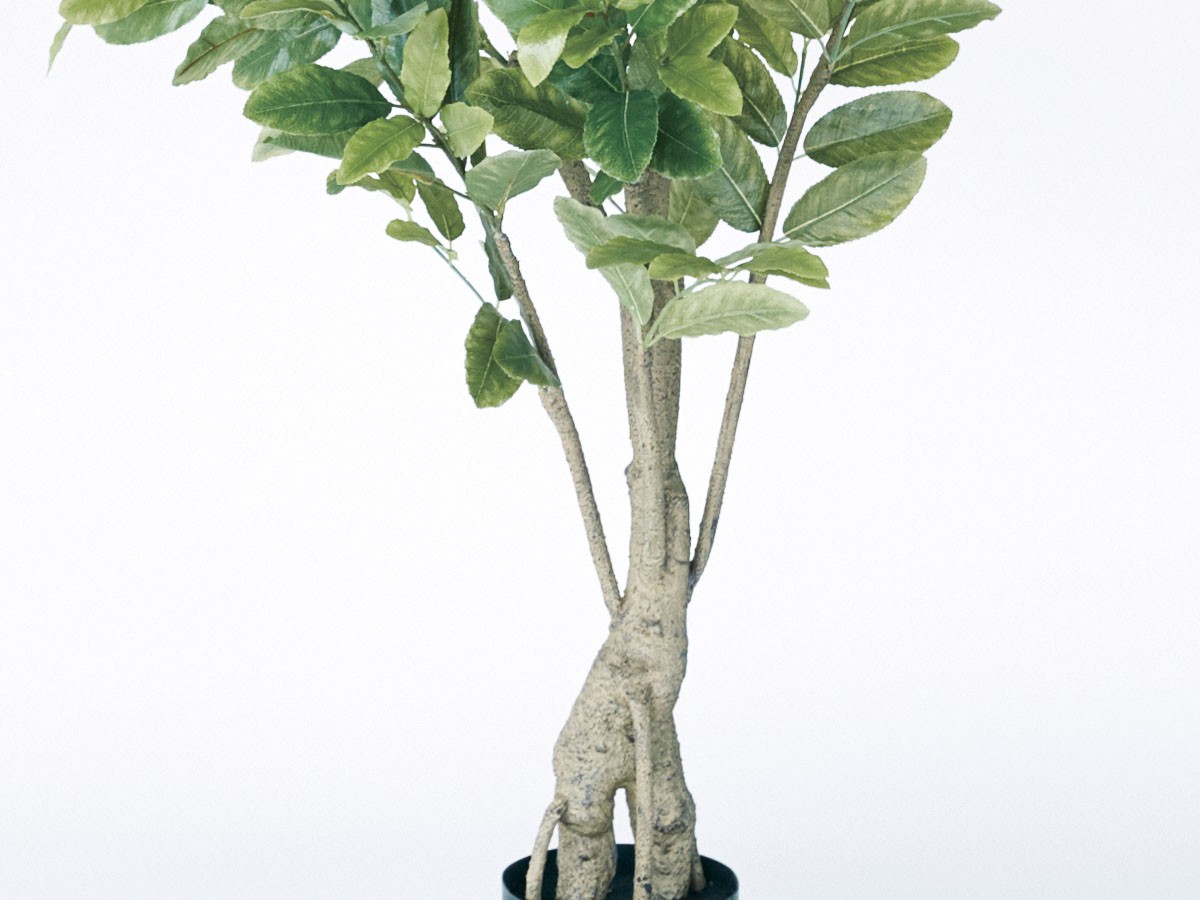 BROWN Lemon Tree Pot / ブラウン レモンの木 ポット 183 （花器・プランター・グリーン > フェイクグリーン・フェイクフラワー） 5