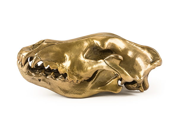 DIESEL LIVING with SELETTI WUNDERKAMMER WOLF SKULL - Wolf this way