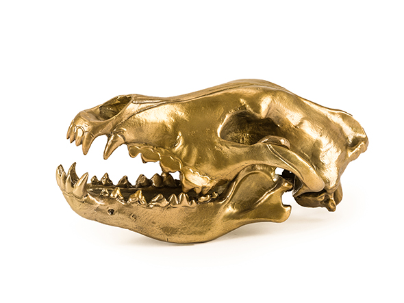 DIESEL LIVING with SELETTI WUNDERKAMMER WOLF SKULL - Wolf this way
