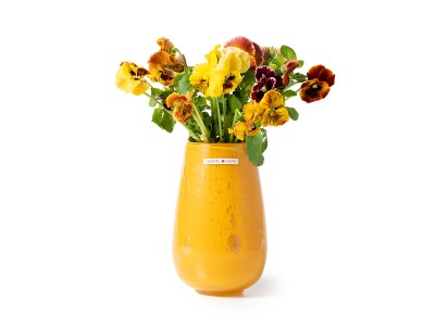 Henry Dean V.Stromboli XS / ヘンリーディーン V.ストロンボリ