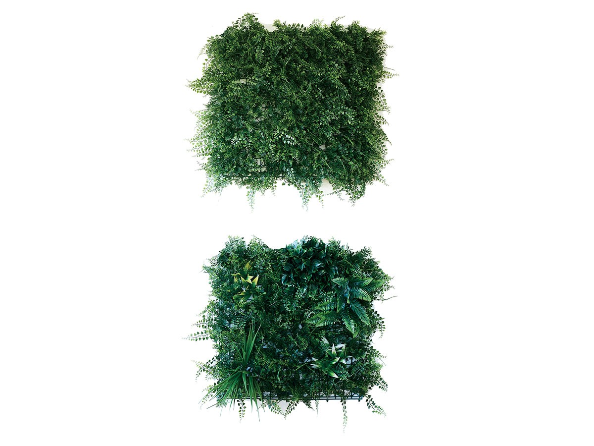 BROWN Green Wall / ブラウン グリーンウォール 50 FE （花器・プランター・グリーン > フェイクグリーン・フェイクフラワー） 4