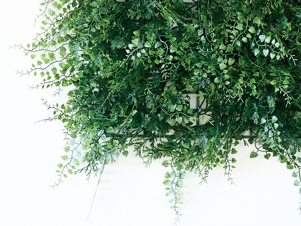 BROWN Green Wall / ブラウン グリーンウォール 50 FE （花器・プランター・グリーン > フェイクグリーン・フェイクフラワー） 8