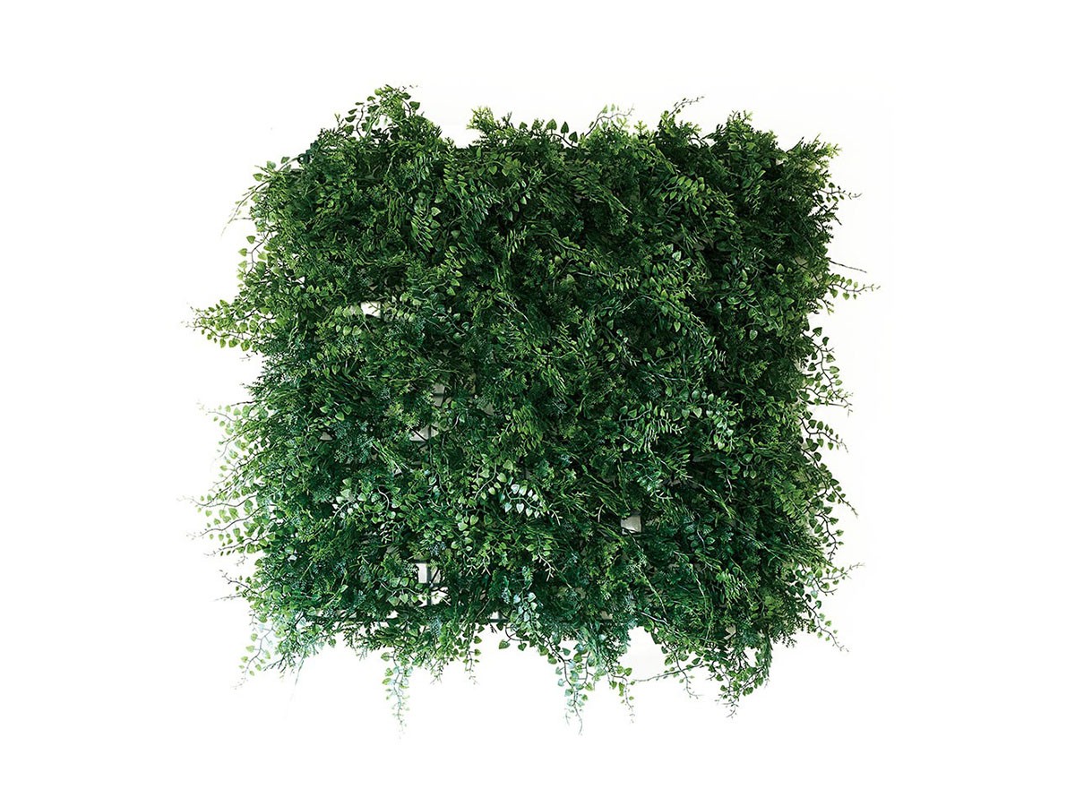 BROWN Green Wall
