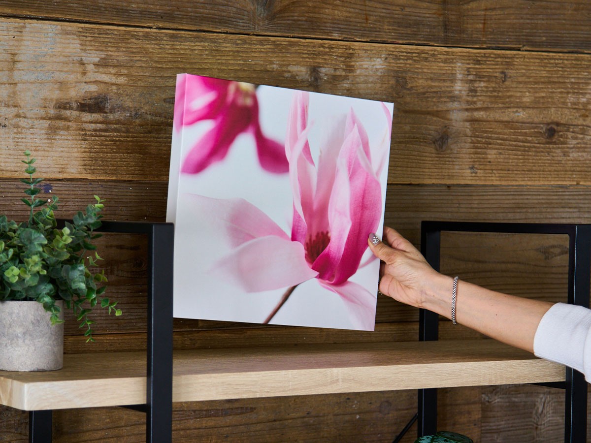 YOKO Takeuchi Pastel Bloom Magnolia / ヨウコ タケウチ パステルブルーム マグノリア （アート・オブジェ > フォトパネル・フォトアート） 4