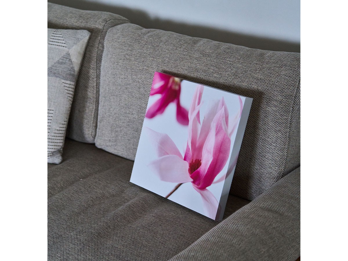 YOKO Takeuchi Pastel Bloom Magnolia / ヨウコ タケウチ パステルブルーム マグノリア （アート・オブジェ > フォトパネル・フォトアート） 3