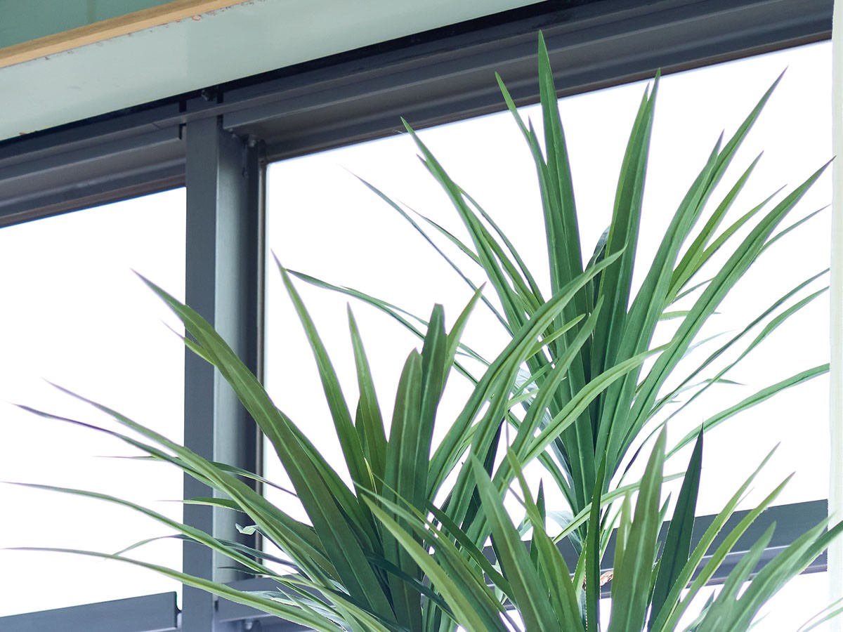 BROWN Yucca Pot / ブラウン ユッカ  ポット 160 （花器・プランター・グリーン > フェイクグリーン・フェイクフラワー） 4