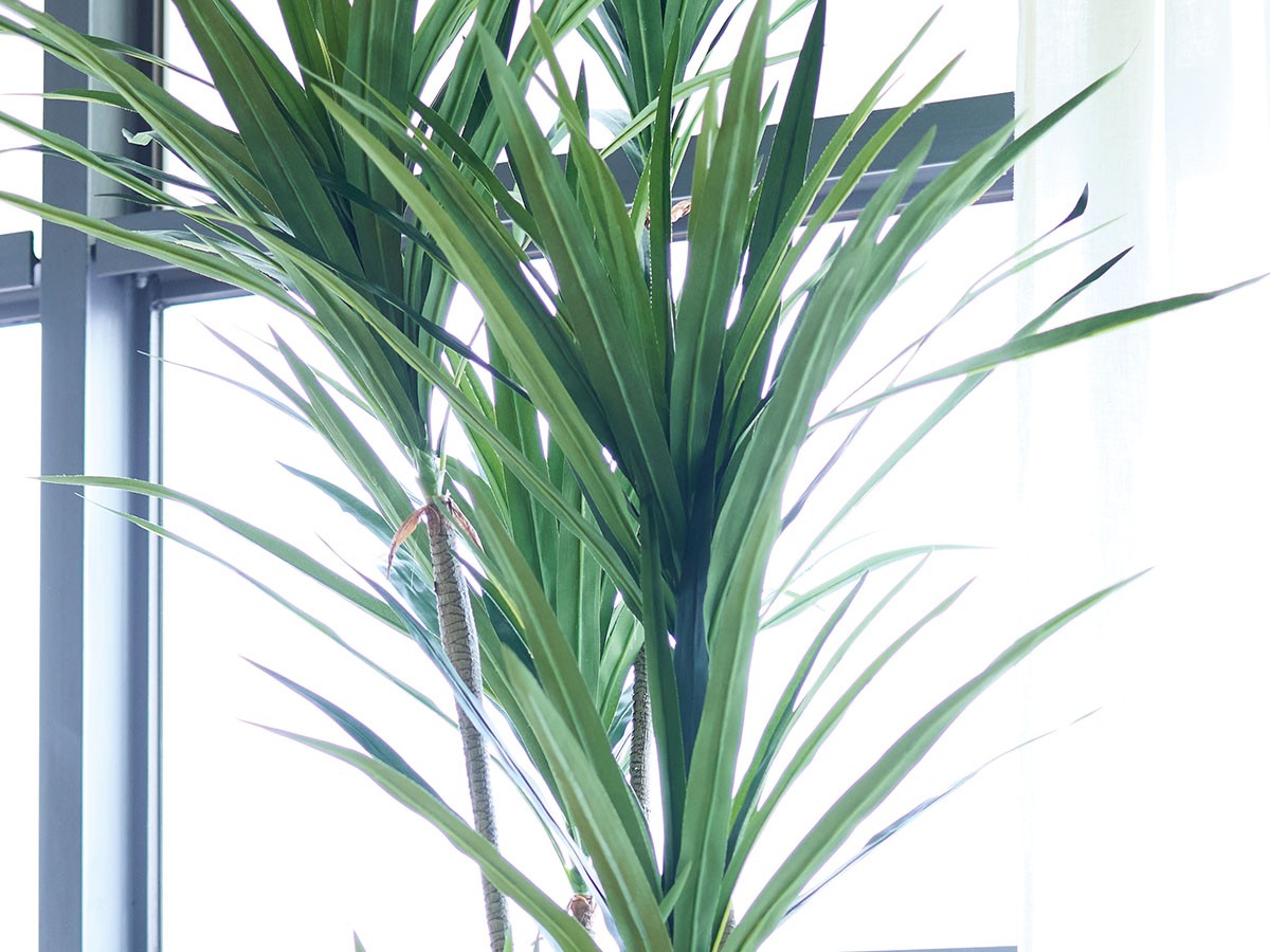 BROWN Yucca Pot / ブラウン ユッカ  ポット 160 （花器・プランター・グリーン > フェイクグリーン・フェイクフラワー） 5