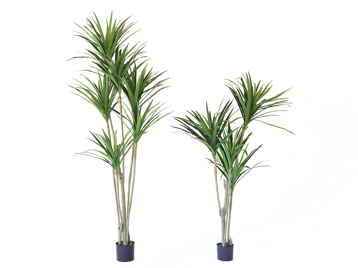 BROWN Yucca Pot / ブラウン ユッカ  ポット 160 （花器・プランター・グリーン > フェイクグリーン・フェイクフラワー） 2