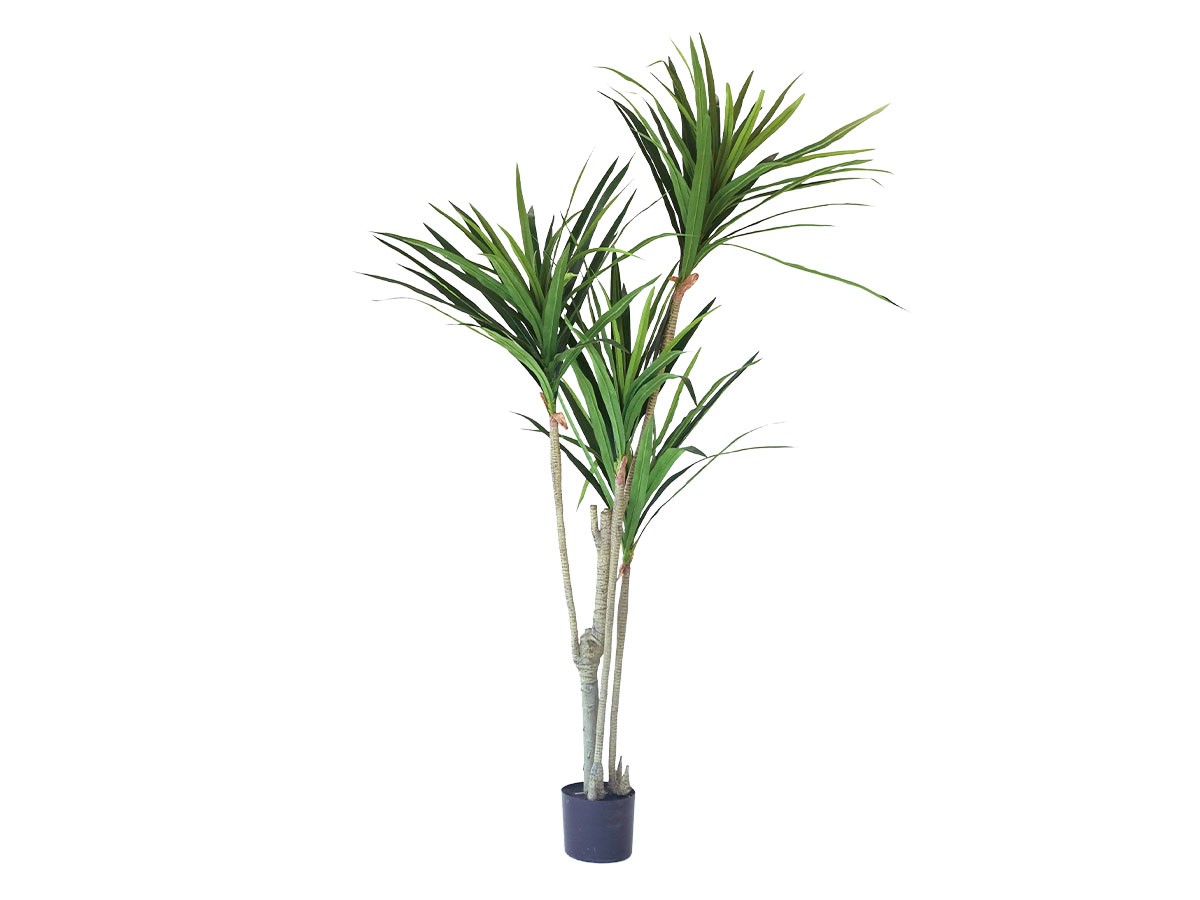 BROWN Yucca Pot / ブラウン ユッカ ポット 160 (花器・プランター・グリーン > フェイクグリーン・フェイクフラワー) 1